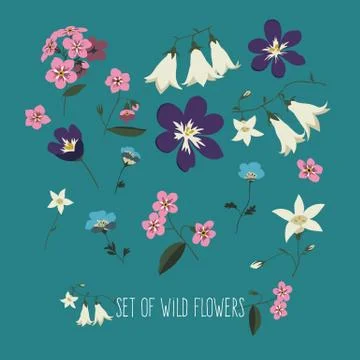 Vector set of wild flowers on a blue background. Stock Illustration