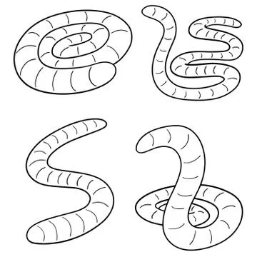 Vector set of worm Stock Illustration
