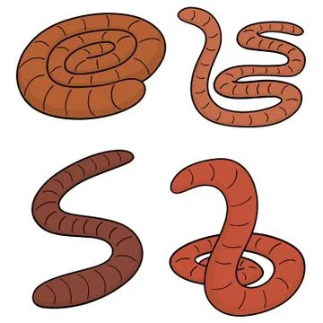 Vector set of worm Stock Illustration