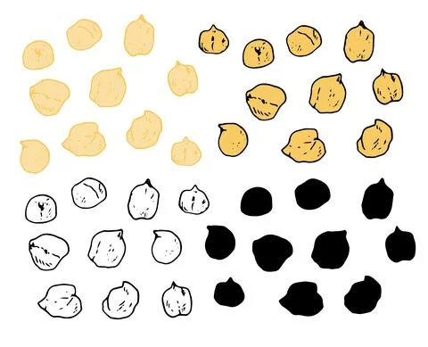 Vector set of yellow chickpeas. a collection of yellow chickpeas or peas, drawn Stock Illustration
