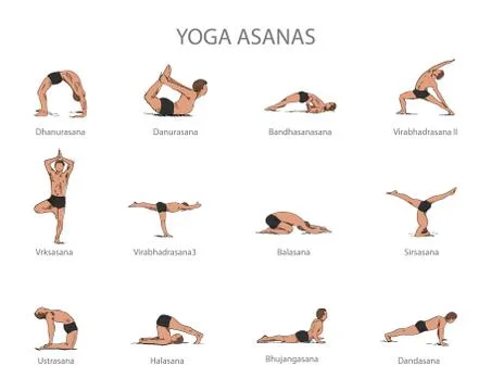Vector set of yoga poses isolated on white background. Human body stretching Stock Illustration