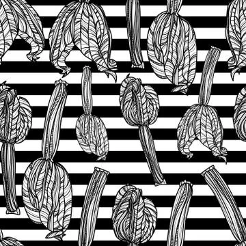 Vector set with zucchini. Stock Illustration