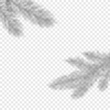 Vector shadow overlay of Christmas tree fir. New Year greetings transparent Stock Illustration