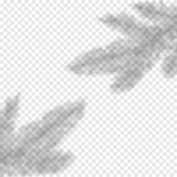 Vector shadow overlay of Christmas tree fir. New Year greetings transparent Stock Illustration