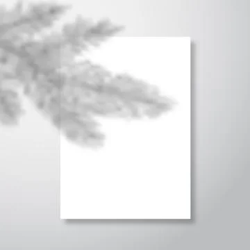 Vector shadow overlay of Christmas tree fir with blank paper letterhead sheet Stock Illustration