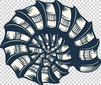 Vector shell art showing navy off-white segments and hatch shading on Stock Illustration