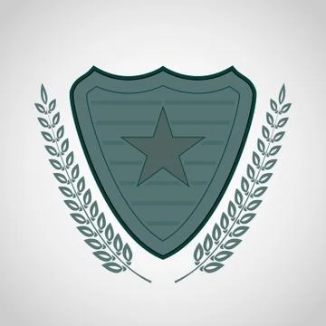 The vector shield with star symbol Stock Illustration