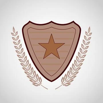 The vector shield with star symbol Stock Illustration