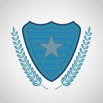 The vector shield with star symbol Stock Illustration