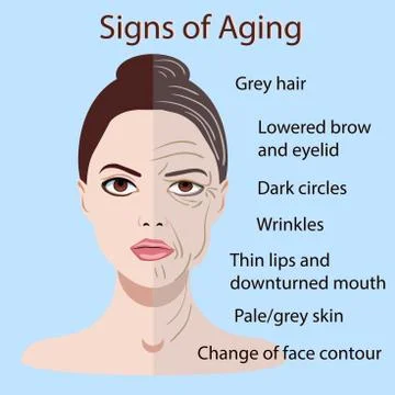 Vector signs of aging face with two types of skin, young and old isolated Stock Illustration