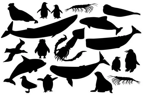 Vector silhouett shape black set of animals in Antarctica. Hand drawn collection Stock Illustration