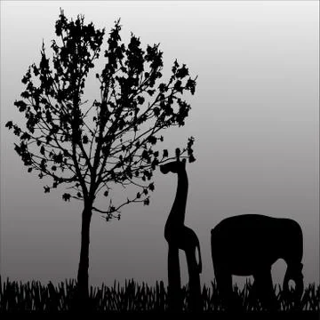 Vector silhouette of animal. Stock Illustration