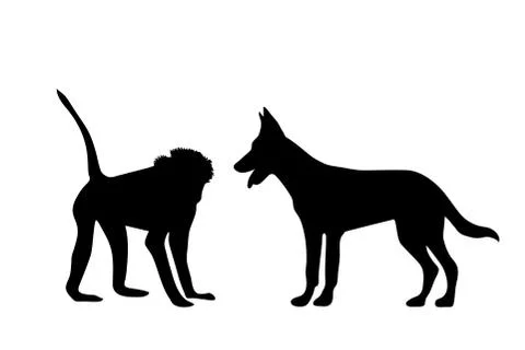 Vector silhouette of animal. Stock Illustration