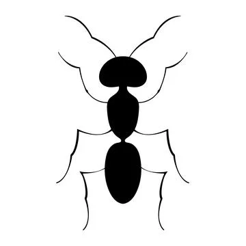 Vector silhouette of an ant on a white background. Illustration of an ant Stock Illustration