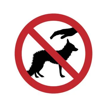 Vector silhouette of ban on touching fox on white background. Symbol of anima Stock Illustration