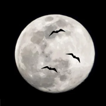 Vector silhouette of bats on moon background. Symbol of night. Illustrazione stock