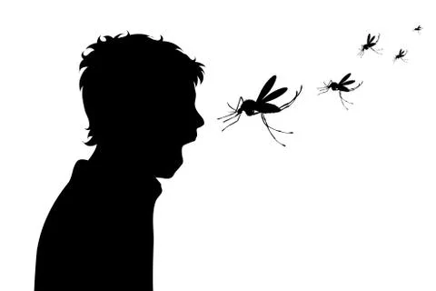 Vector silhouette of boy crying to mosquito on white background. Symbol of an Stock-Illustration