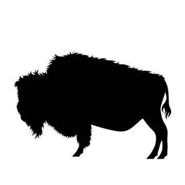 Vector silhouette of buffalo on white background. Stock Illustration