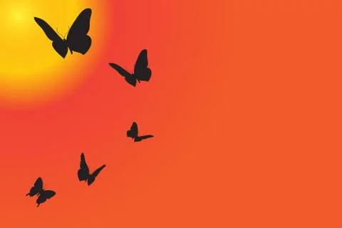 Vector silhouette of butterflies. Stock Illustration