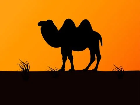Vector silhouette camel on the background sunset Stock Illustration