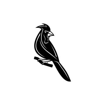 Vector silhouette of cardinal bird 스톡 일러스트