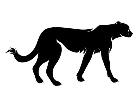 Vector silhouette of cheetah on white background. Stock Illustration