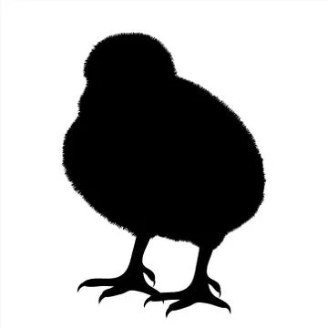 Vector silhouette of chicken on white background. Symbol of farm animal and p Stock Illustration