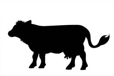Vector silhouette of cow on white background. Symbol of farm animal. Stock Illustration