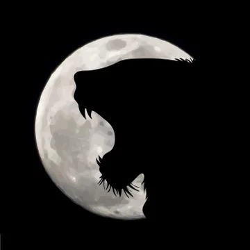 Vector silhouette of crying lion on moon background. Symbol of night. Stock Illustration