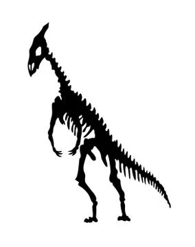 Vector silhouette of dinosaurs skeleton. Hand drawn dino skeleton. Dinosaur Stock Illustration