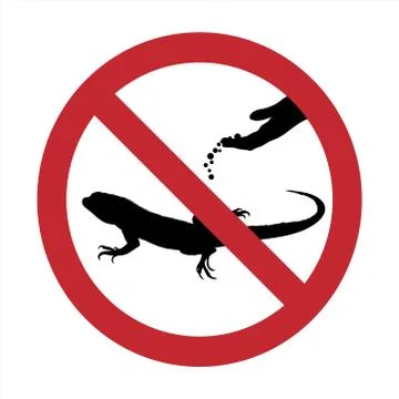 Vector silhouette of do not feeding lizard mark on white background. Symbol o Illustrazione stock