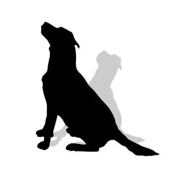 Vector silhouette of a dog. Stock Illustration