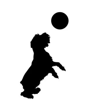 Vector silhouette of a dog. Illustrazione stock