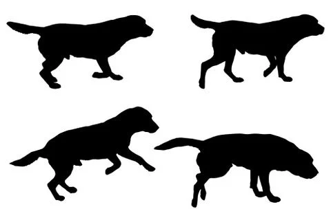 Vector silhouette of a dog. Stock Illustration