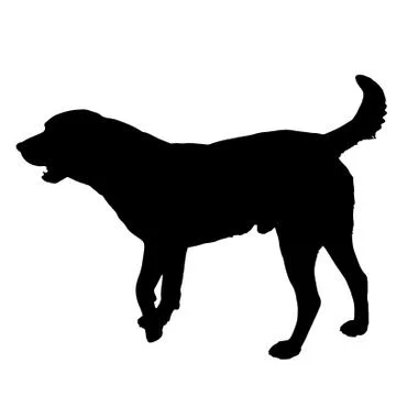 Vector silhouette of a dog. Stock Illustration