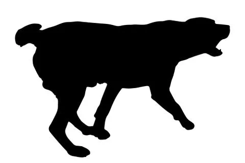 Vector silhouette of a dog. Stock Illustration