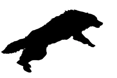 Vector silhouette of a dog. Stock Illustration