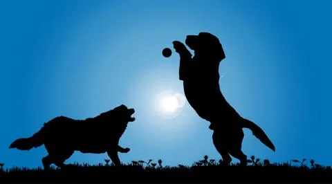 Vector silhouette of a dog. Stock Illustration