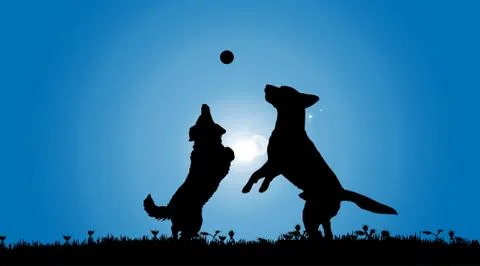 Vector silhouette of a dog. Stock Illustration