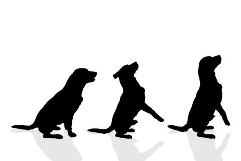 Vector silhouette of a dog. Stock Illustration