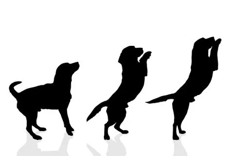 Vector silhouette of a dog. Illustrazione stock