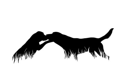 Vector silhouette of dogs in the grass on white background. Symbol of animal, Stock Illustration