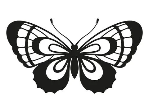 Vector silhouette elegant butterfly isolated on white background Stock Illustration