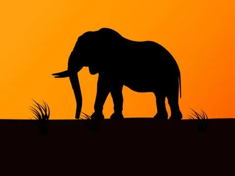 Vector silhouette elephant on background sunset Stock Illustration