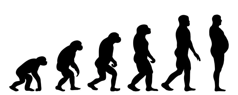 Vector silhouette of evolution of man. 스톡 일러스트