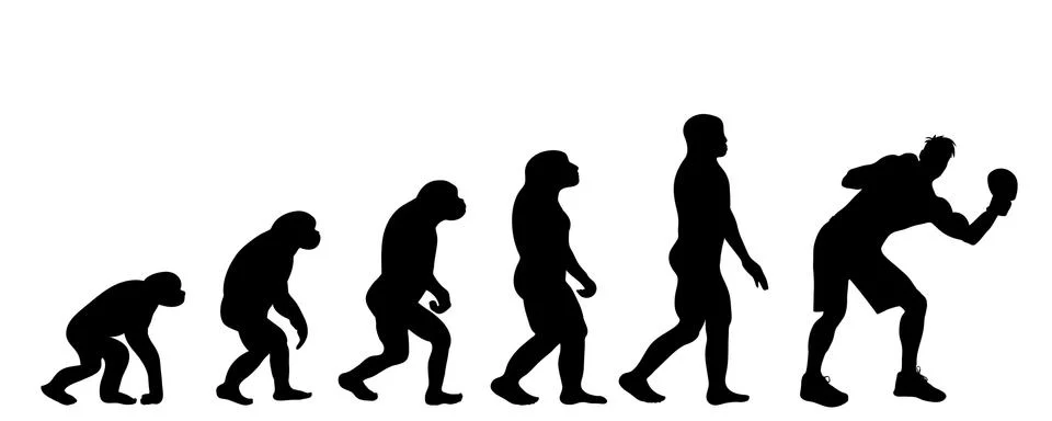 Vector silhouette of evolution of man. Stock Illustration