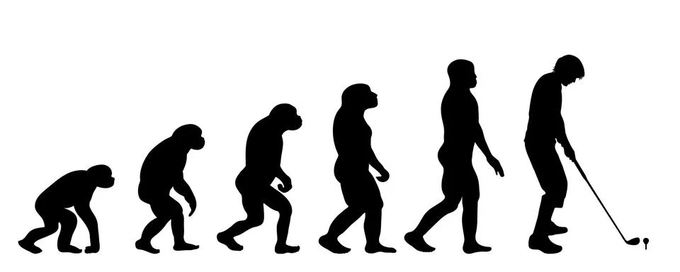 Vector silhouette of evolution of man. Stock Illustration