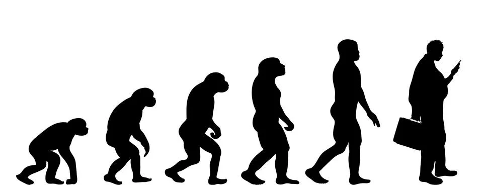 Vector silhouette of evolution of man. Stock Illustration