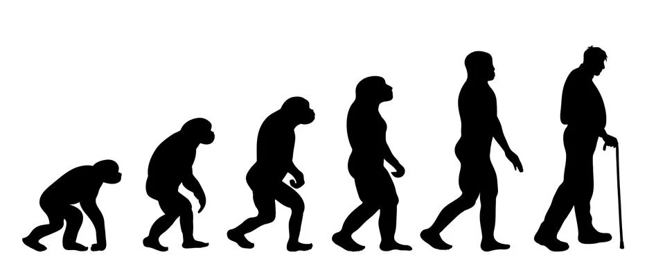 Vector silhouette of evolution of man. Stock Illustration
