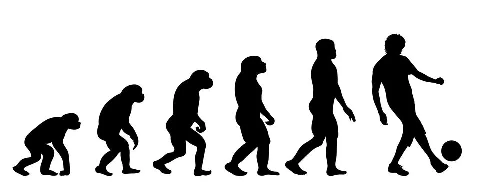 Vector silhouette of evolution of man. Illustrazione stock